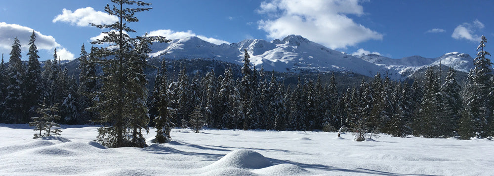 Panoramic Whistler landscape with snowy peaks and alpine skies