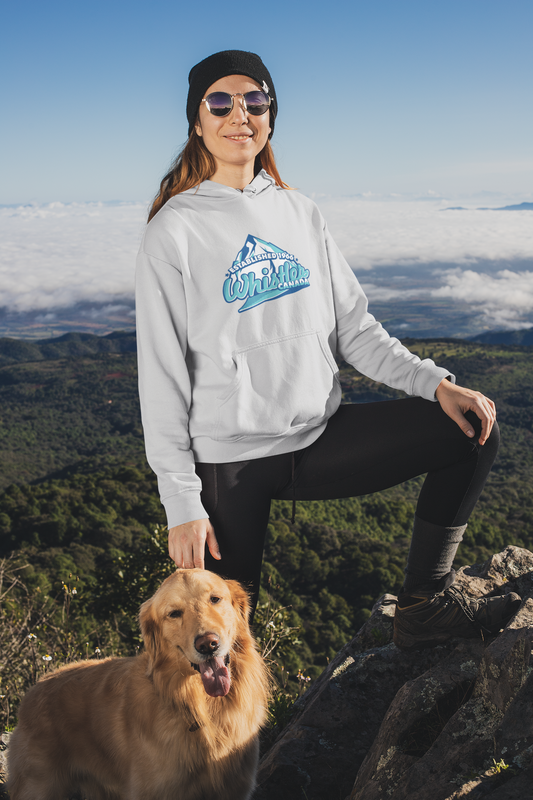 Established 1966 Hoodie