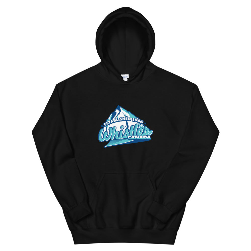 Established 1966 Hoodie