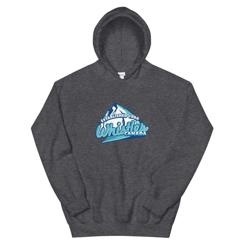 Established 1966 Hoodie