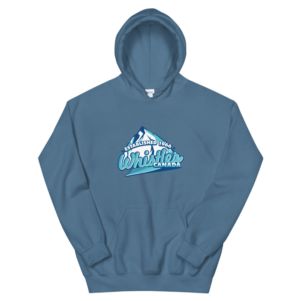 Established 1966 Hoodie
