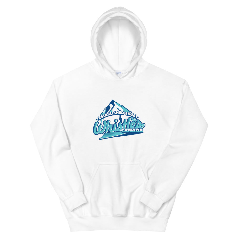 Established 1966 Hoodie
