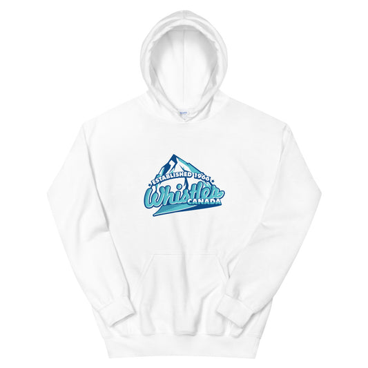 Established 1966 Hoodie